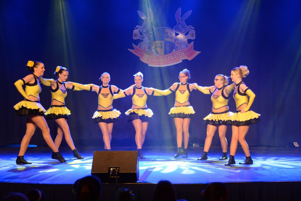 ../Images/Dansmarieke festival 2015 195.jpg